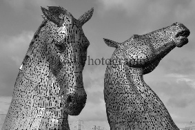 Kelpies B&W (copyright).jpg